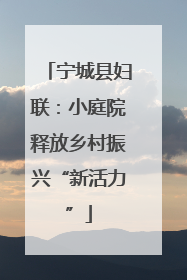 宁城县妇联：小庭院释放乡村振兴“新活力”
