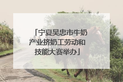 宁夏吴忠市牛奶产业挤奶工劳动和技能大赛举办