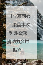 宁夏同心：桑葚丰收季 甜蜜采摘助力乡村振兴