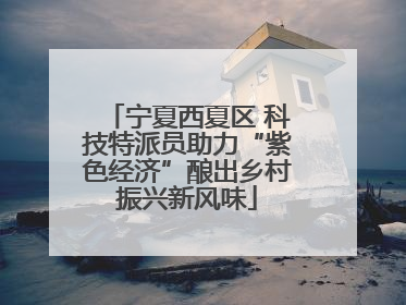 宁夏西夏区 科技特派员助力“紫色经济”酿出乡村振兴新风味