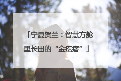 宁夏贺兰：智慧方舱里长出的“金疙瘩”