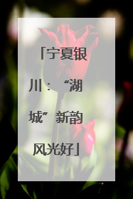 宁夏银川：“湖城”新韵风光好