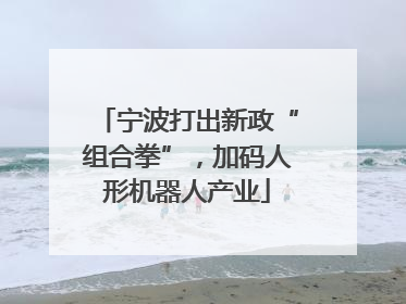 宁波打出新政“组合拳”，加码人形机器人产业