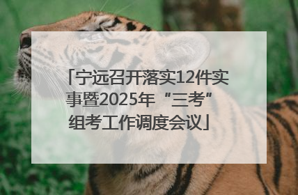 宁远召开落实12件实事暨2025年“三考”组考工作调度会议