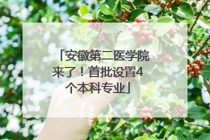 安徽第二医学院来了！首批设置4个本科专业