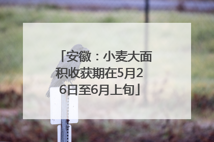 安徽：小麦大面积收获期在5月26日至6月上旬