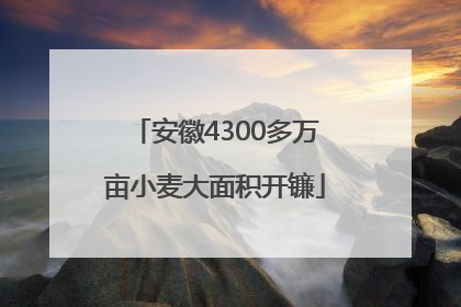安徽4300多万亩小麦大面积开镰