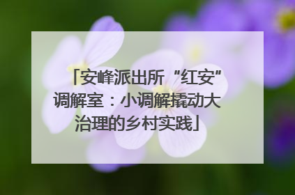 安峰派出所“红安”调解室：小调解撬动大治理的乡村实践