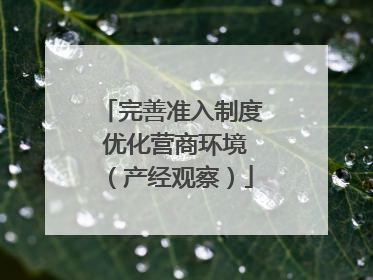 完善准入制度 优化营商环境（产经观察）