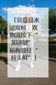 宜章县水浸窝村：双物流按下“加速键” 杨梅锁住“枝头鲜”