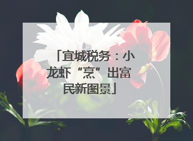 宜城税务：小龙虾“烹”出富民新图景