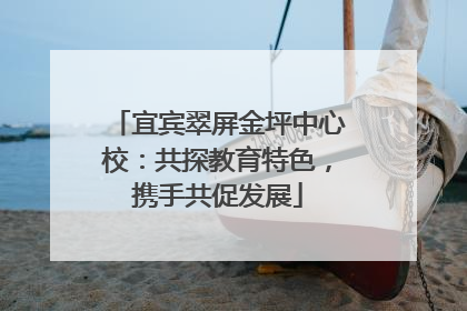 宜宾翠屏金坪中心校：共探教育特色，携手共促发展