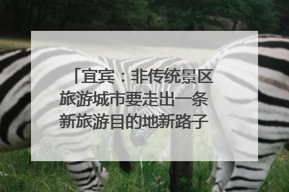 宜宾：非传统景区旅游城市要走出一条新旅游目的地新路子｜话锦绣·说安逸