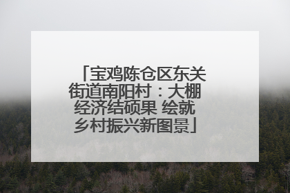 宝鸡陈仓区东关街道南阳村：大棚经济结硕果 绘就乡村振兴新图景