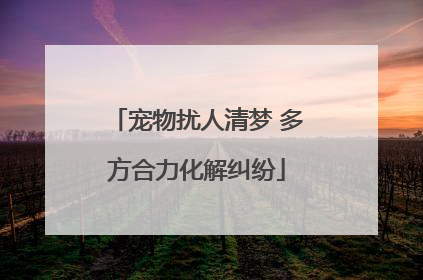 宠物扰人清梦 多方合力化解纠纷