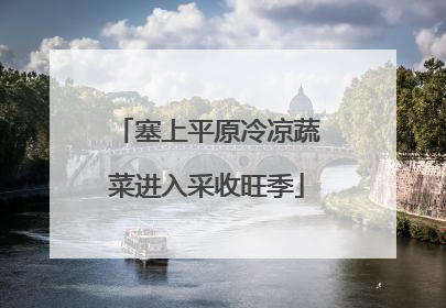 塞上平原冷凉蔬菜进入采收旺季