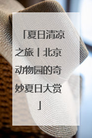 夏日清凉之旅丨北京动物园的奇妙夏日大赏