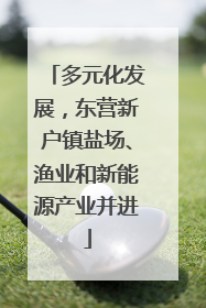 多元化发展，东营新户镇盐场、渔业和新能源产业并进