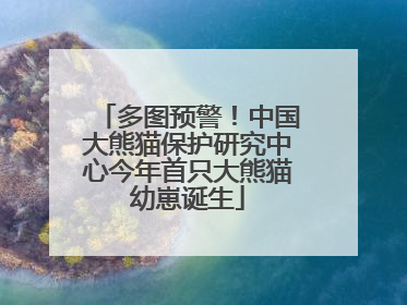 多图预警！中国大熊猫保护研究中心今年首只大熊猫幼崽诞生