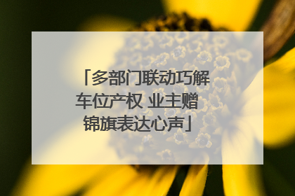 多部门联动巧解车位产权 业主赠锦旗表达心声