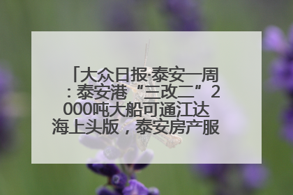 大众日报·泰安一周：泰安港“三改二”2000吨大船可通江达海上头版，泰安房产服务改革经验全省推广