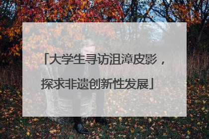 大学生寻访沮漳皮影，探求非遗创新性发展