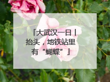 大武汉一日丨抬头，地铁站里有“蝴蝶”