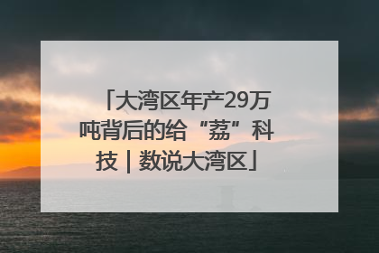 大湾区年产29万吨背后的给“荔”科技｜数说大湾区