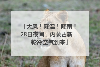 大风！降温！降雨！28日夜间，内蒙古新一轮冷空气到来