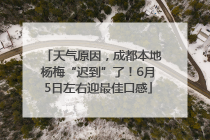 天气原因，成都本地杨梅“迟到”了！6月5日左右迎最佳口感