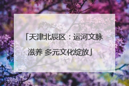 天津北辰区：运河文脉滋养 多元文化绽放