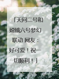 天问二号和嫦娥六号梦幻联动 网友：好可爱！祝一切顺利！