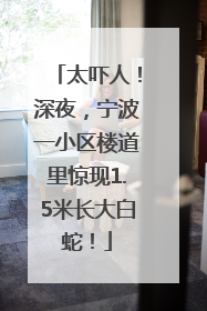 太吓人！深夜，宁波一小区楼道里惊现1.5米长大白蛇！