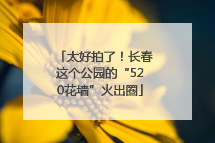 太好拍了！长春这个公园的“520花墙”火出圈