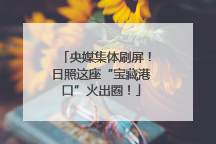 央媒集体刷屏！日照这座“宝藏港口”火出圈！