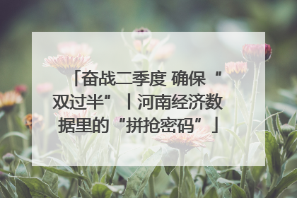 奋战二季度 确保“双过半”丨河南经济数据里的“拼抢密码”