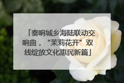 奏响城乡海陆联动交响曲，“茉莉花开”双线绽放文化惠民新篇