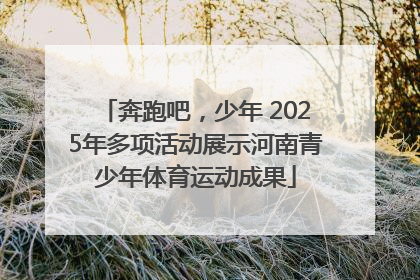 奔跑吧，少年 2025年多项活动展示河南青少年体育运动成果