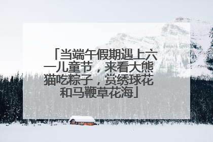 当端午假期遇上六一儿童节，来看大熊猫吃粽子，赏绣球花和马鞭草花海