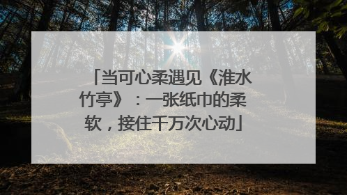 当可心柔遇见《淮水竹亭》：一张纸巾的柔软，接住千万次心动
