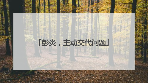 彭炎，主动交代问题