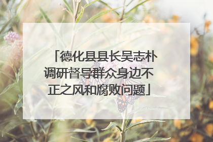 德化县县长吴志朴调研督导群众身边不正之风和腐败问题