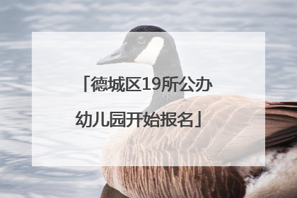 德城区19所公办幼儿园开始报名