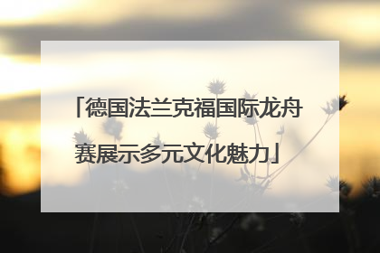 德国法兰克福国际龙舟赛展示多元文化魅力
