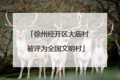 徐州经开区大庙村被评为全国文明村