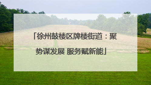 徐州鼓楼区牌楼街道：聚势谋发展 服务赋新能