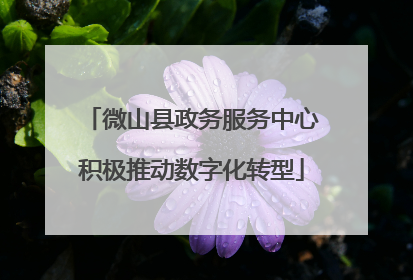 微山县政务服务中心积极推动数字化转型