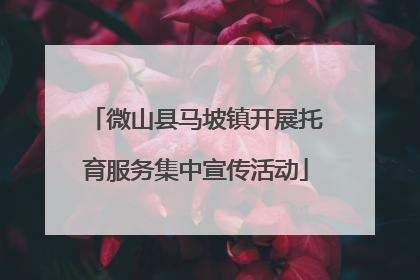 微山县马坡镇开展托育服务集中宣传活动