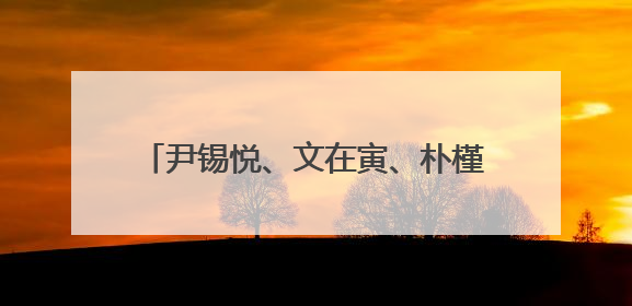 尹锡悦、文在寅、朴槿惠、李明博，纷纷出面