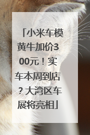 小米车模黄牛加价300元！实车本周到店？大湾区车展将亮相
